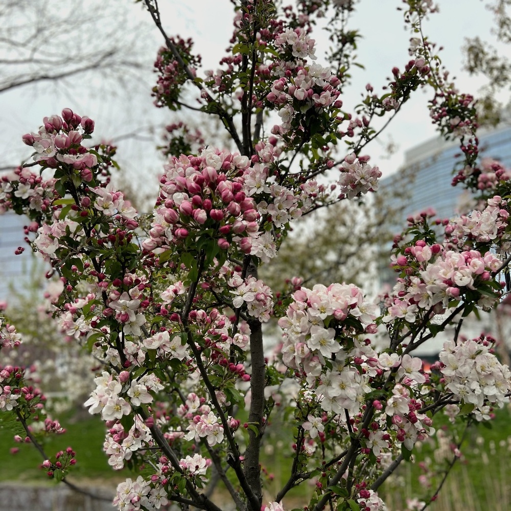 Meet your Posher, Carla